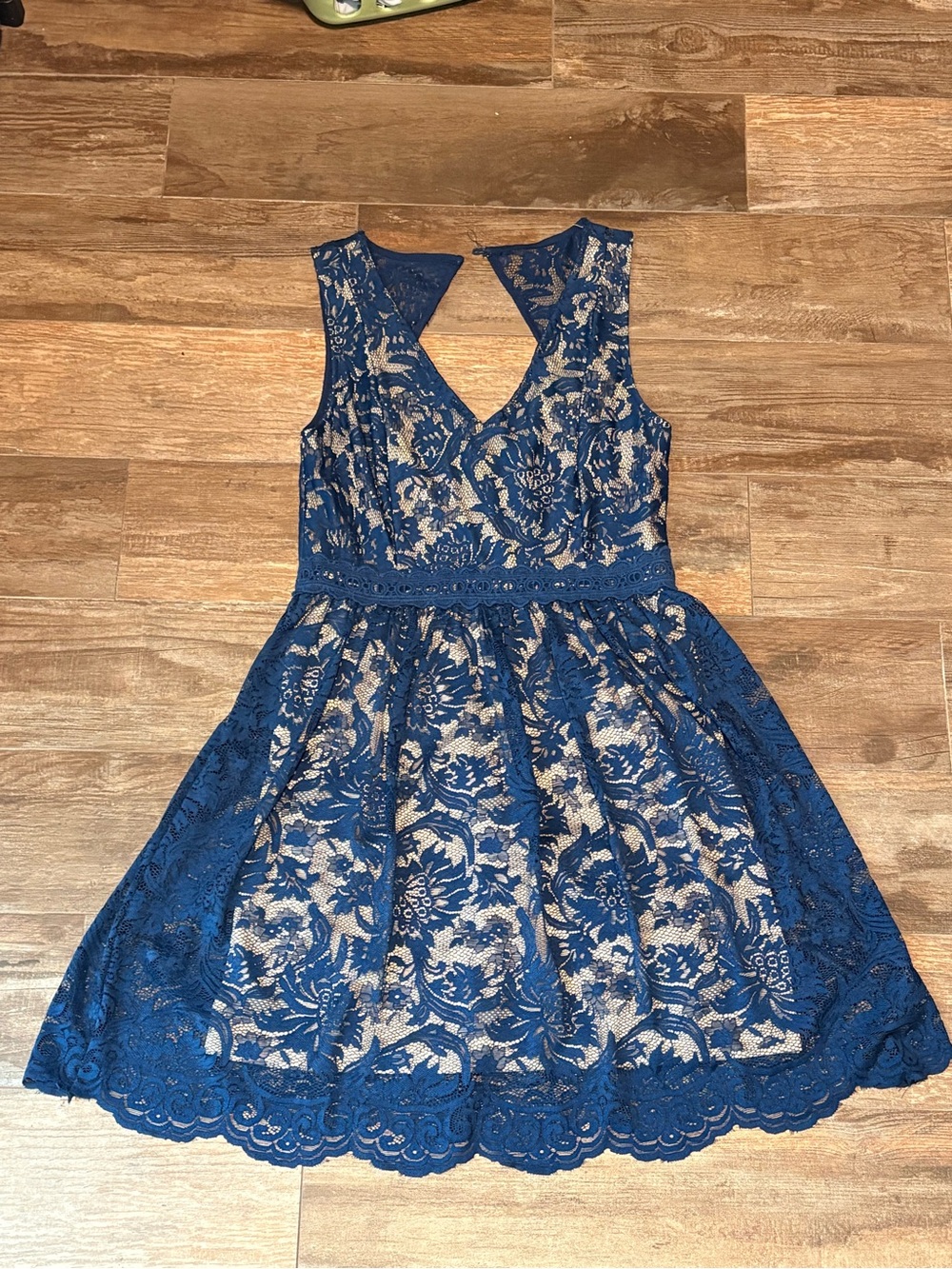 Francesca’s Sleeveless Navy Lace Fit & Flare Dress